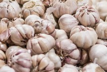 Bawang Putih
