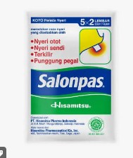 Salonpas Isi 10 Pack 